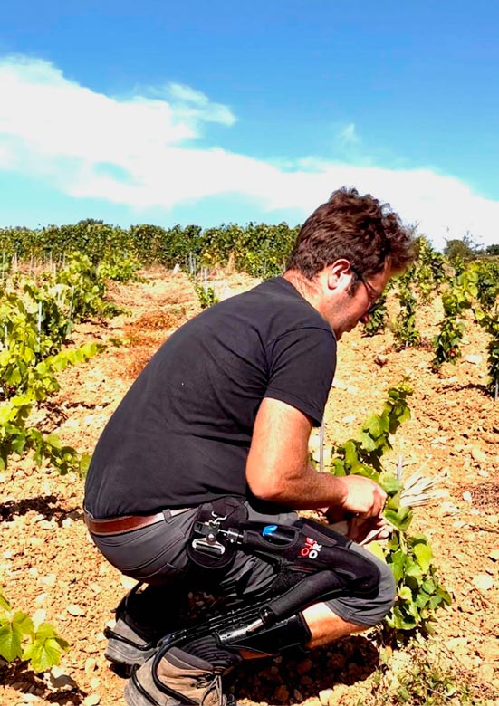 Mojo4Work l'exosquelette qui soulage vos genoux et allège la tâche