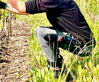 Exosquelettes pour les autres zones du corps (genoux, jambes)